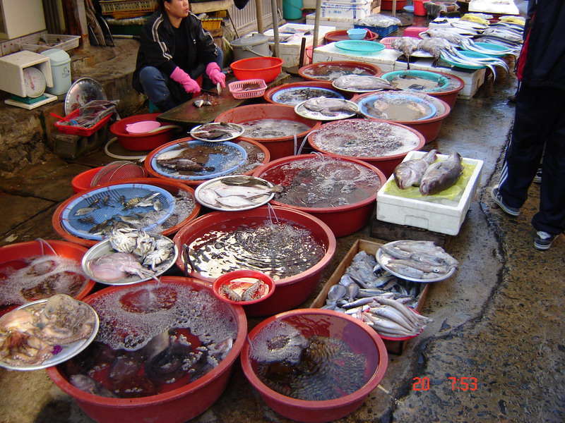 Фотография рыбного рынка в Окпо (Пусан), Южная Корея